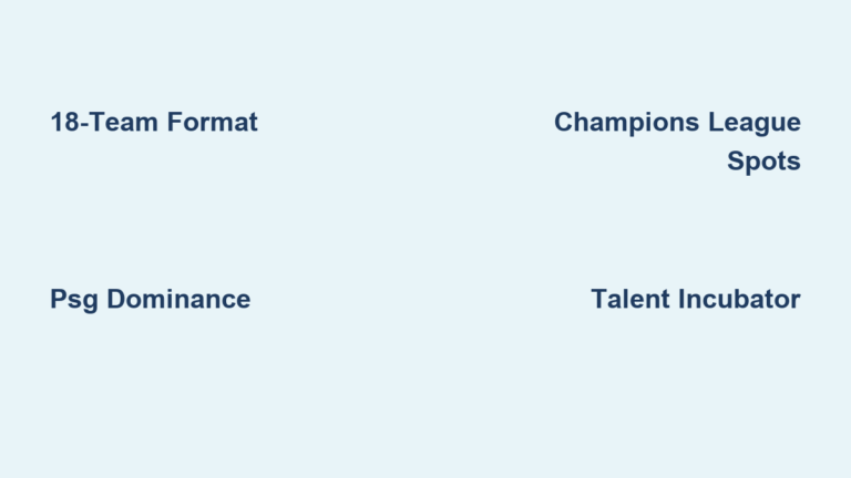 Ligue 1: France’s Top Soccer League