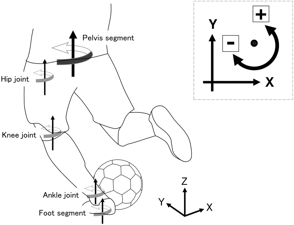 Building the Shot Engine: Strength and Conditioning