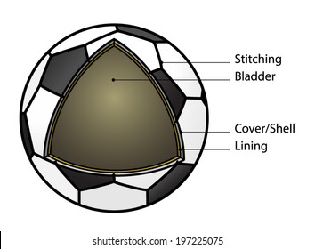 Choosing the Right Ball for Your Needs