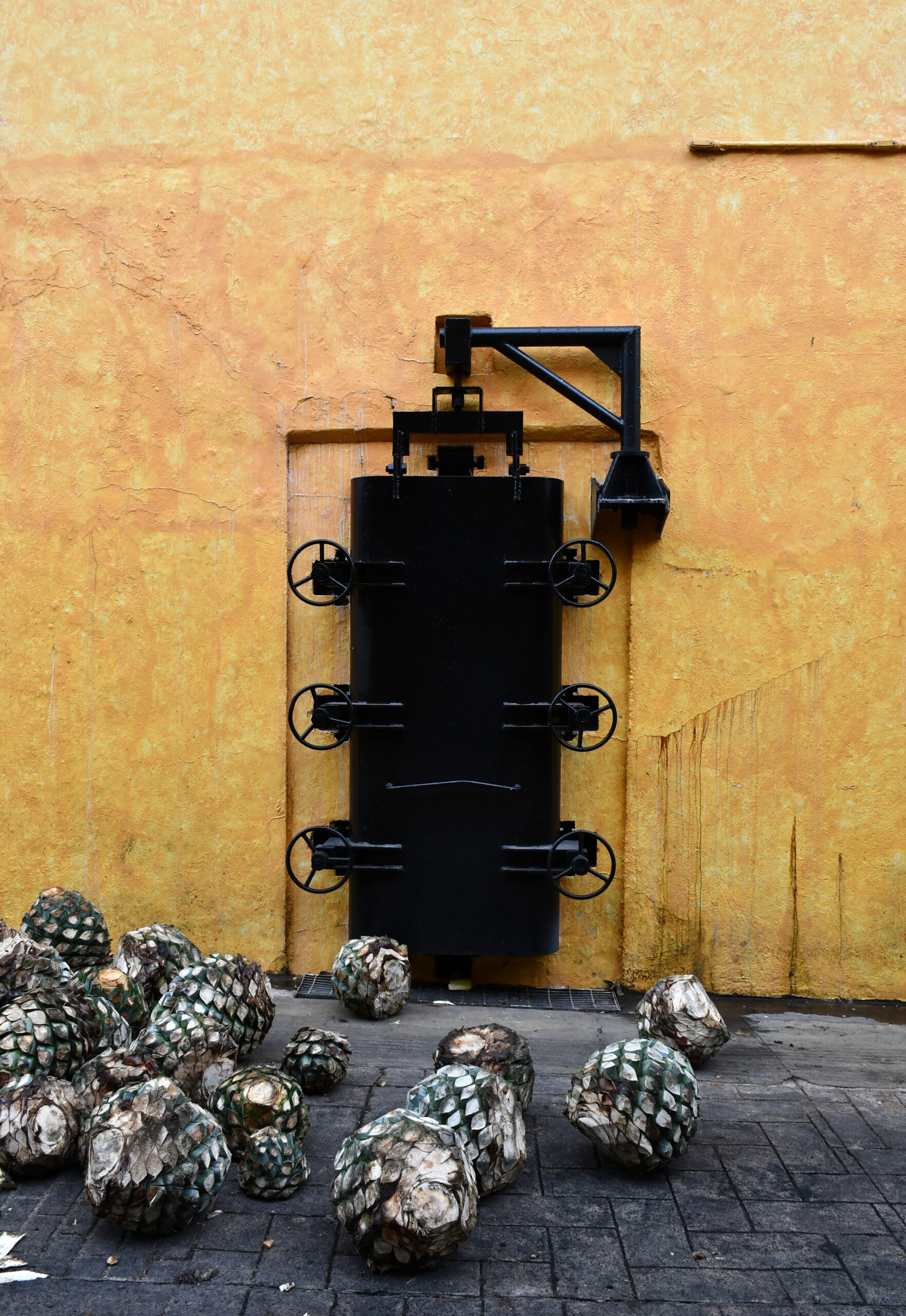 Tequila distillery