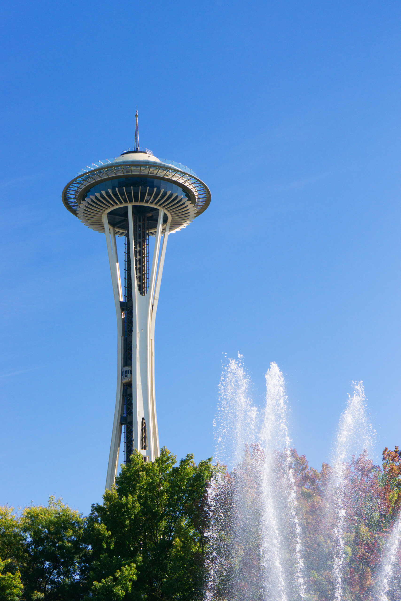 Seattle Center Fan Zone