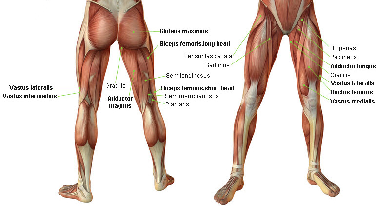 The 3-Lift Strength Session You Can Do Anywhere
