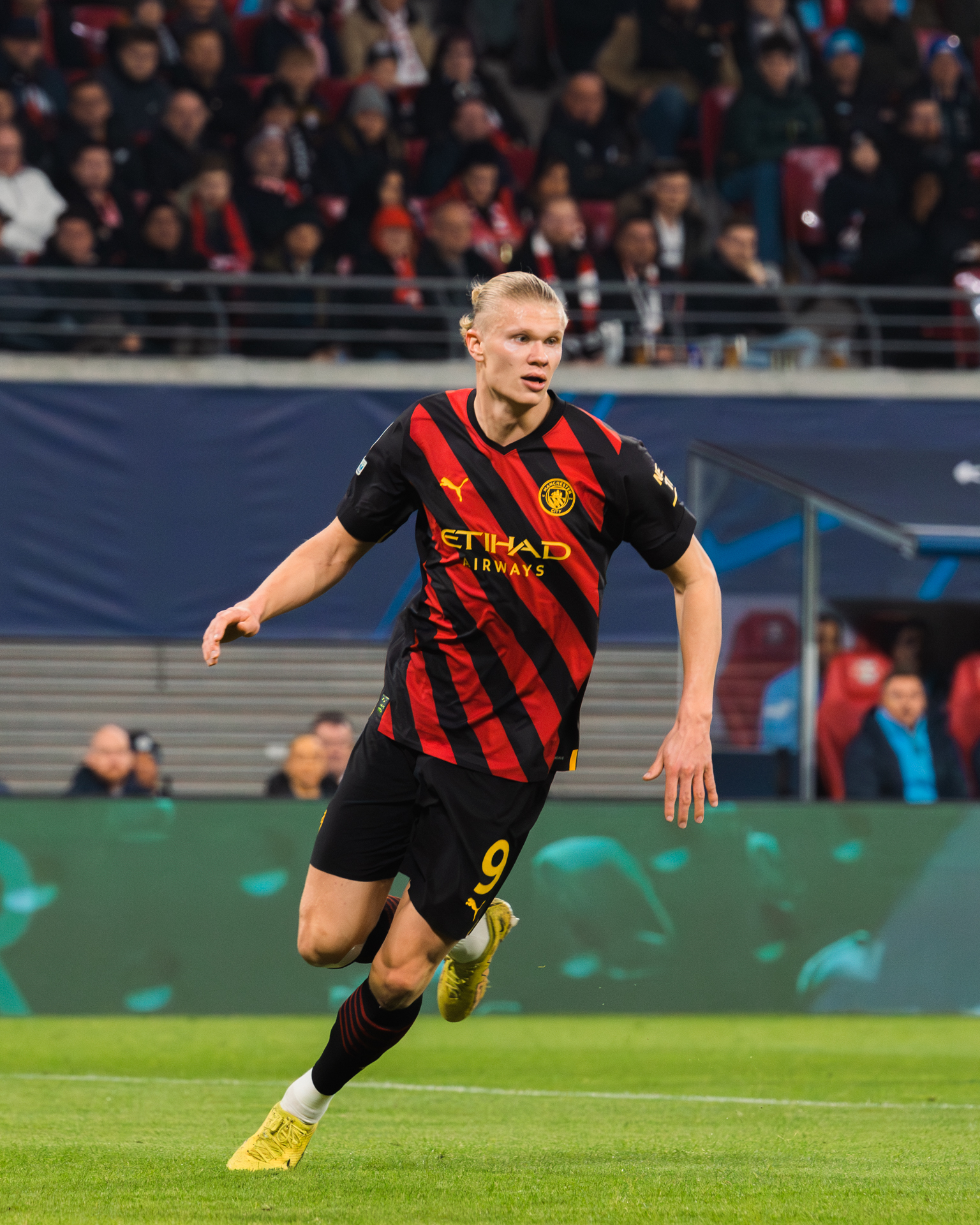Erling Haaland international