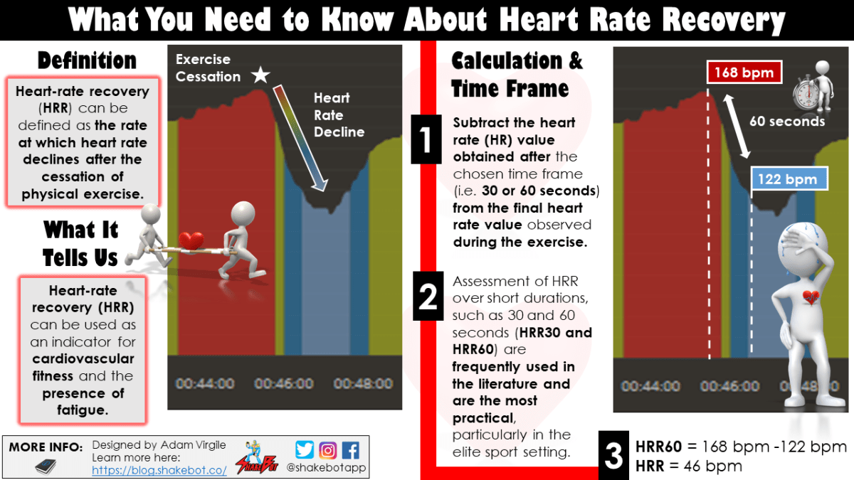 The Morning vs. Evening Edge: Why Timing Matters