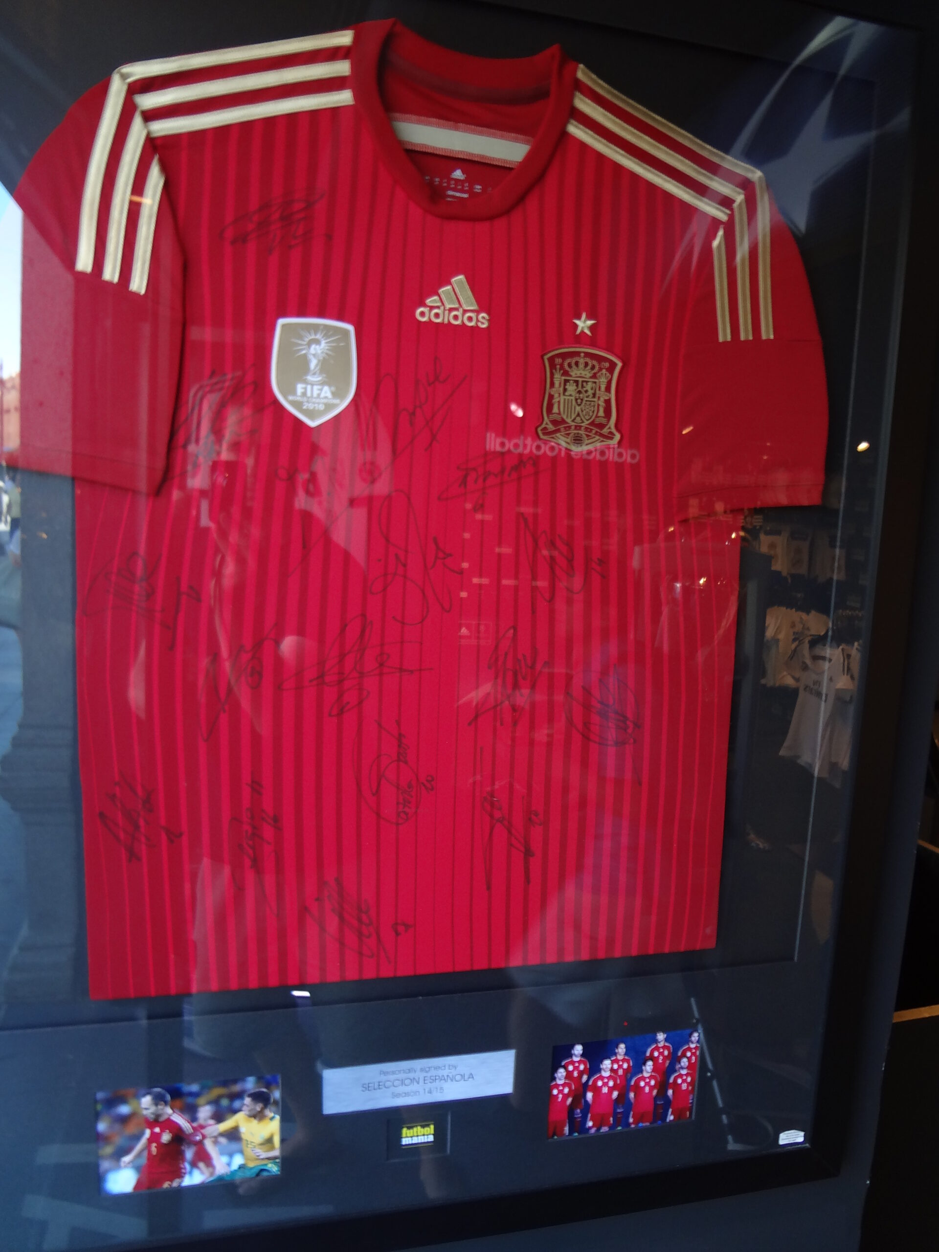 Spain national football team 2010 World Cup