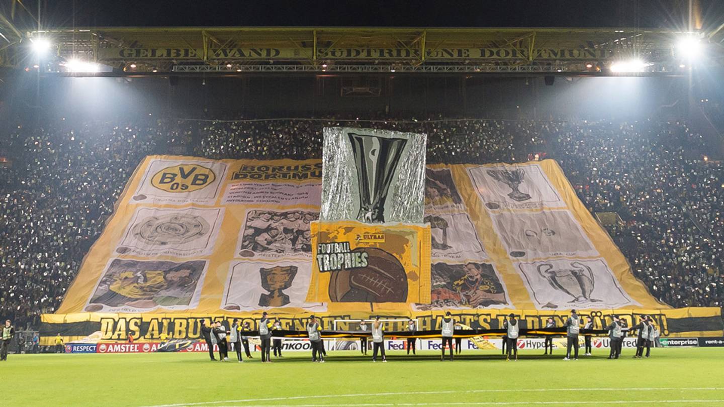 Why Do Fans Go to Such Extreme Effort?